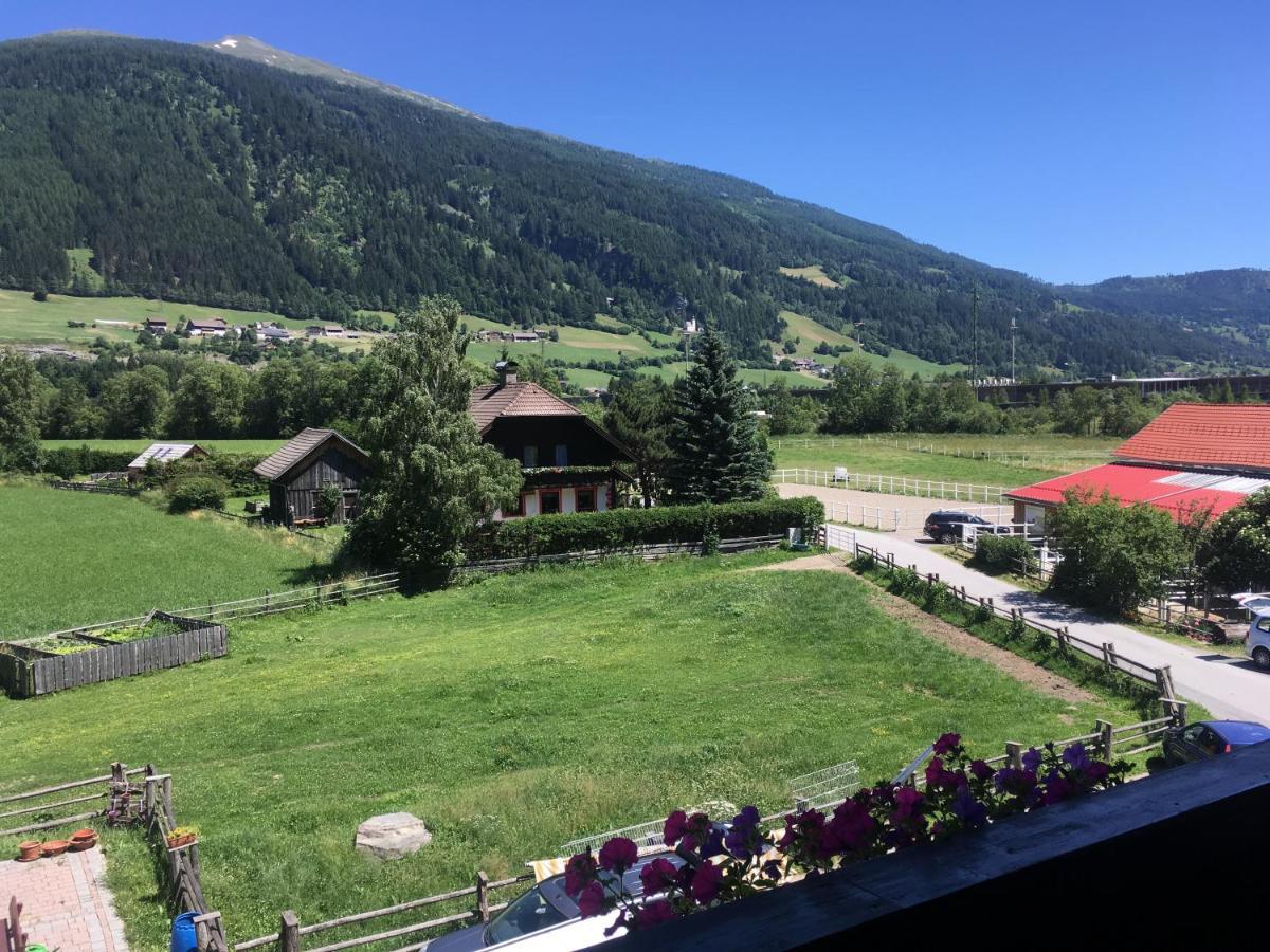 Lungau Guest house 2*